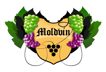 Логотип Moldvin